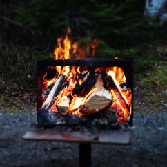 Frenchman’s Cove Provincial Park